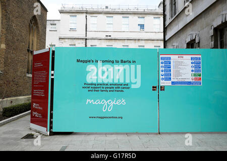 La thésaurisation de la construction au nouveau Maggie's Centre, St Barts Hospital qui sera terminée en 2017 Londres Royaume-uni KATHY DEWITT Banque D'Images