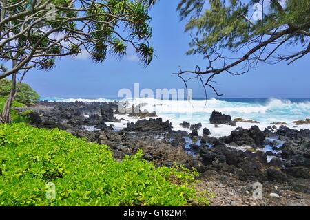 Keanae, sur la Côte-Nord une île volcanique de Maui Banque D'Images