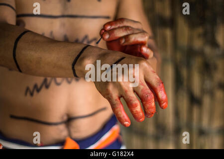 SANTO DOMINGO, l'Équateur, le 26 janvier 2015 : Indian man (Los Colorados Tsáchila) tribu dans les peintures vêtements usine de jus de cheveux Banque D'Images