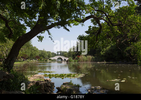 Scène de la nature avec un lac et pont à Chaoyang Park à Nanjing, Chine Banque D'Images