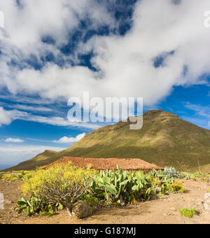 Maison de ferme abandonnée à côté de sentier de marche d''Arona de Ifonche, Tenerife, avec la montagne de Roque del Conde en arrière-plan Banque D'Images