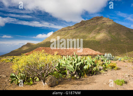Maison de ferme abandonnée à côté de sentier de marche d''Arona de Ifonche, Tenerife, avec la montagne de Roque del Conde en arrière-plan Banque D'Images