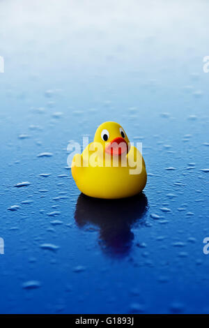 Canard en plastique jaune réfléchissant sur une surface avec de l'eau gouttes bleu Banque D'Images