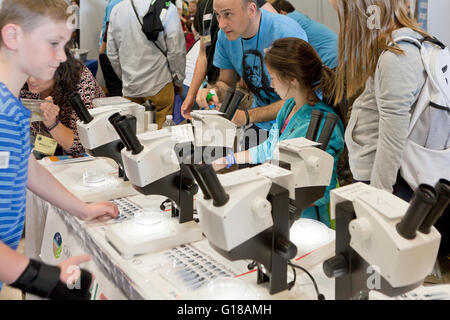 Les enfants à l'aide de microscopes à science fair - USA Banque D'Images