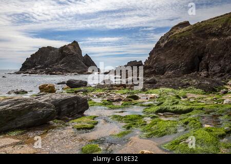 Soar Mill Cove beach, Devon, Angleterre. Banque D'Images