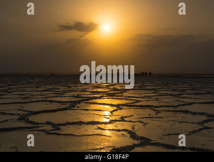 Caravane de chameaux au coucher du soleil sur un lac salé, région Afar, Ethiopie, Dallol Banque D'Images