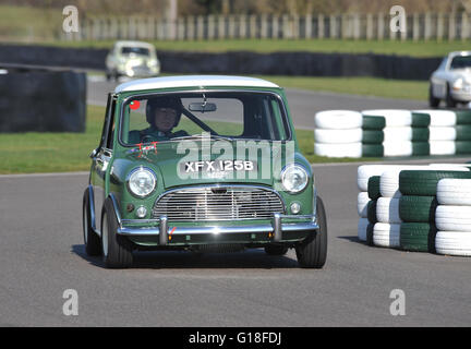 1964 Austin Mini Cooper voiture de course sur la voie à Goodwood Banque D'Images