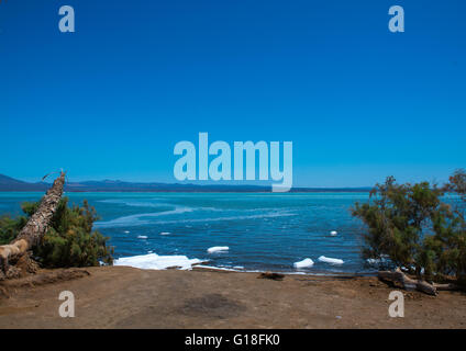 Le lac salin, région Afar, Afdera, Ethiopie Banque D'Images