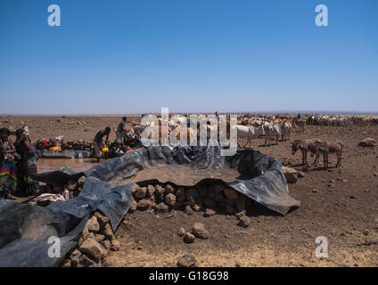 Population somalienne à la collecte de l'eau dans un réservoir dans le désert, loin région Le parc national de Yangudi rassa, Éthiopie, Banque D'Images