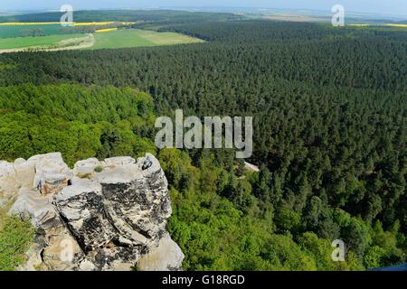 Château Regenstein (allemand : Burg Regenstein), une destination touristique populaire, est un château en ruine qui est situé à trois kilomètres au nord de Blankenburg, Allemagne, 10. Mai 2016. Photo : Frank May | conditions dans le monde entier Banque D'Images