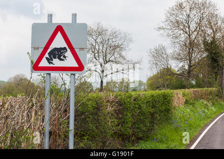 Un Crapaud panneau d'avertissement sur la B4343 pour informer les automobilistes à conduire prudemment que des centaines de créatures à traverser la rue chaque printemps en route vers les étangs de reproduction. Crédit : Ian Jones/Alamy Live News Banque D'Images