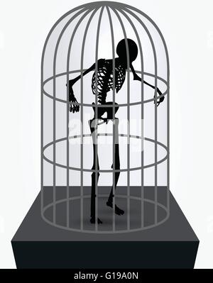 Image vectorielle - skeleton silhouette en cage en permanent posent isolé sur fond blanc Illustration de Vecteur