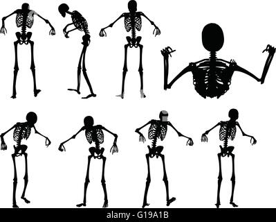 Image vectorielle - skeleton silhouette en cage en permanent posent isolé sur fond blanc Illustration de Vecteur