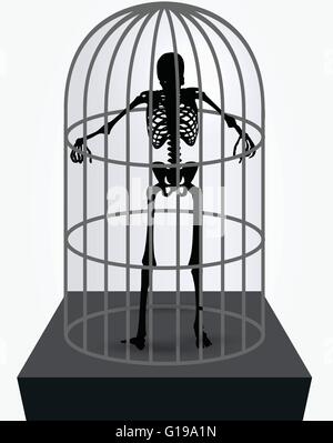 Image vectorielle - skeleton silhouette en cage en permanent posent isolé sur fond blanc Illustration de Vecteur