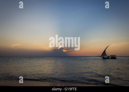 Tirez les pêcheurs dans leurs courriers du soir dans un boutre traditionnel dans la baie à Stone Town, Zanzibar, Tanzanie Banque D'Images