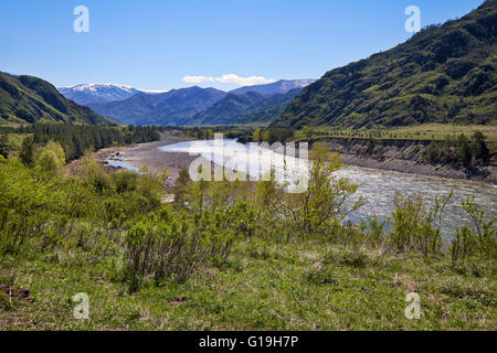 Entouré de montagnes Katun River près de village Chemal, l'Altaï, en Russie Banque D'Images