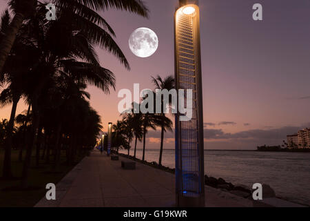 PROMENADE AU BORD DE L'PALMIERS SOUTH POINTE PARK MIAMI BEACH FLORIDE USA Banque D'Images