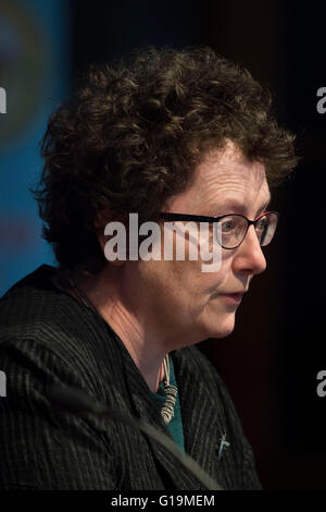 Elin JONES Plaid Cymru AM en Ceredigion et Président à l'Assemblée nationale du Pays de Galles. Banque D'Images