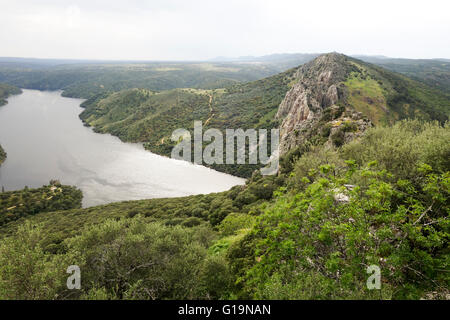 Vue du château en ruine, à penafalcon Monfragüe, parc national Monfrague, Caceres Estrémadure, Espagne Banque D'Images