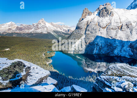 Et de montagne de la cathédrale Wiwaxy pics, le parc national Yoho, Colombie-Britannique, Canada Banque D'Images