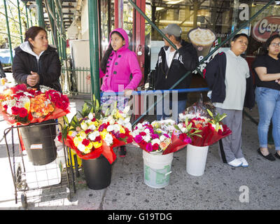 Hispanic vendeur vend des fleurs pour la Fête des mères dans le quartier de Sunset Park, Brooklyn, NY, le 8 mai 2016. Banque D'Images