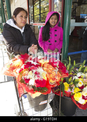 Hispanic vendeur vend des fleurs pour la Fête des mères dans le quartier de Sunset Park, Brooklyn, NY, le 8 mai 2016. Banque D'Images