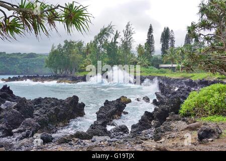 Keanae, sur la Côte-Nord une île volcanique de Maui Banque D'Images