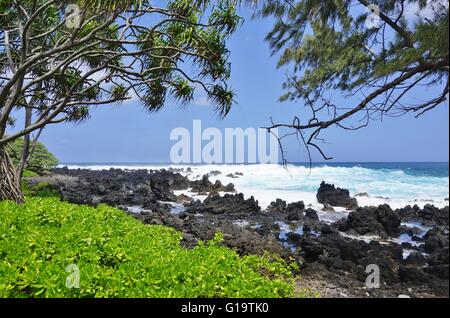 Keanae, sur la Côte-Nord une île volcanique de Maui Banque D'Images