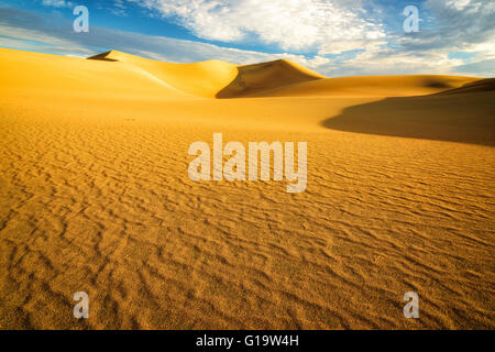 Dunes de sable au lever du soleil dans le désert Banque D'Images
