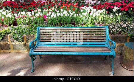 Ancien Bleu banc en bois en pleine floraison jardin Banque D'Images