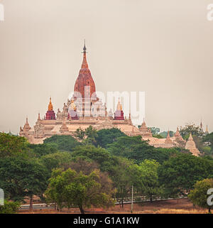 Vue depuis le Shwesandaw de Bagan. Le Myanmar. Banque D'Images