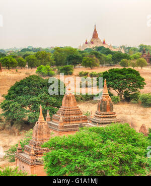 Vue depuis le Shwesandaw de Bagan. Le Myanmar. Banque D'Images