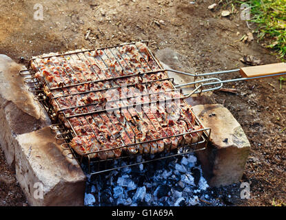 La viande, rôtie au feu, barbecue Banque D'Images