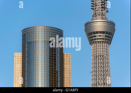 Skytree Tower et Sumida Ward Office Building, Tokyo, Japon Banque D'Images