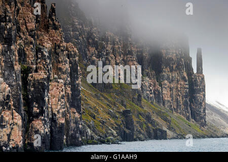 Dans la colonie de reproduction des oiseaux de la falaise de basalte, Lomfjordhalvøya Ny-Friesland Alkefjellet dans au Spitsberg / France Banque D'Images