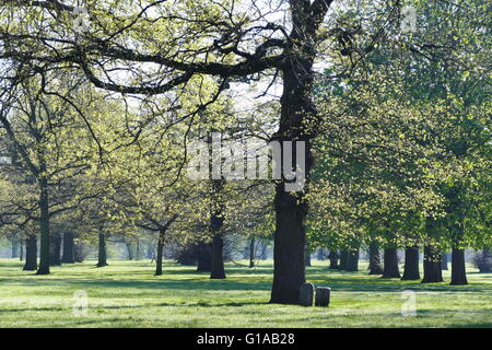 Magnifique paysage autour de Hyde Park, Londres, Royaume-Uni Banque D'Images