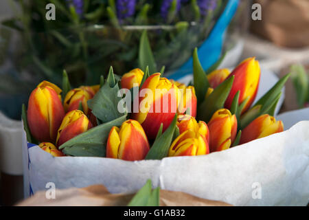 Bouquet de tulipes dans du papier Kraft Banque D'Images