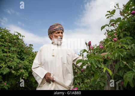 Les hommes en costume traditionnel omanais montrant outre de panier plein de pétales de rose Banque D'Images