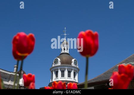 Hôtel de ville de Kingston (Ontario), le 11 mai 2016. Banque D'Images