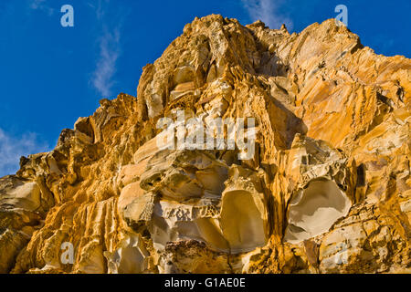 L'Australie, Nouvelle Galles du Sud, Côte Centrale, Bouddi National Park, falaise au point Bouddi avec des grès de Hawkesbury Banque D'Images