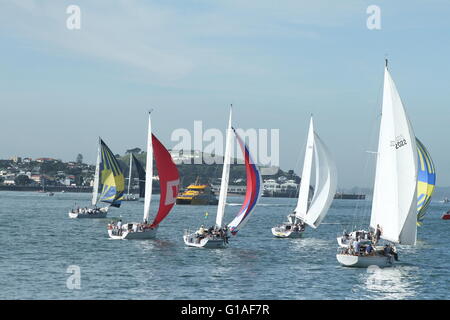 Yacht Race au Golfe d'Hauraki, Auckland, Nouvelle-Zélande sur une journée calme avec une légère brise Banque D'Images