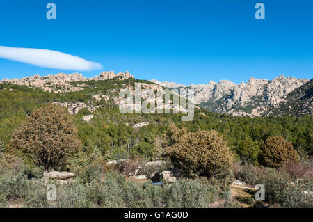 Vues de la Pedriza de Canto Cochino, dans le parc national des montagnes de Guadarrama, Madrid, Espagne Banque D'Images