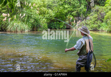 La pêche de mouche les touristes avec guide de pêche dans la zone du lac Taupo en Nouvelle-Zélande flux Banque D'Images