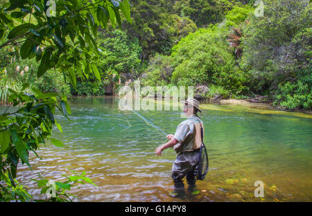 La pêche de mouche les touristes avec guide de pêche dans la zone du lac Taupo en Nouvelle-Zélande flux Banque D'Images