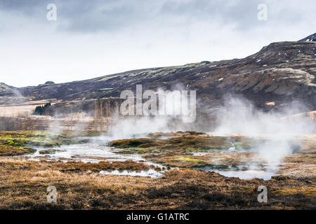 Marais brumeux avec activité géothermique sous une montagne en Islande Banque D'Images