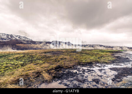 Champs steamy en Islande par temps nuageux Banque D'Images