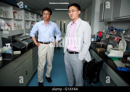 Beijing, Chine. Le 11 mai, 2016. Xu Zhiheng (L) avec l'Institut de Génétique et biologie du développement de l'Académie chinoise des sciences et Qin Chengfeng Beijing avec l'Institut de microbiologie et épidémiologie introduire leurs recherches en collaboration à la presse à Pékin, capitale de la Chine, le 11 mai 2016. Les chercheurs chinois a déclaré mercredi qu'ils ont trouvé une preuve directe que Zika infection provoque une microcéphalie, une malformation congénitale caractérisée par une tête anormalement petite, dans des expériences de la souris. © Cai Yang/Xinhua/Alamy Live News Banque D'Images