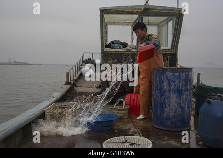 Xingcheng, province de Liaoning, Chine. 9 mai, 2016. Comme les ressources halieutiques côtières de la Chine sont de plus en plus décimées au cours des deux dernières décennies, causé par la pollution et la surpêche, l'augmentation des coûts de la pêche ont changé la vie des pêcheurs chinois évidemment. De nombreux pêcheurs ont choisi de vendre leurs bateaux et complètement renoncer à la vie de la pêche. La mer de Bohai est la source des ressources halieutiques marines dans le Nord de la Chine à l'avant, mais maintenant, la mer est devenue presque vide et de nombreuses espèces ont disparu. Wang Zhiqiang, a près de 40 ans, pêcheur qui vit à Xingcheng city, à Liaoning provinc Banque D'Images