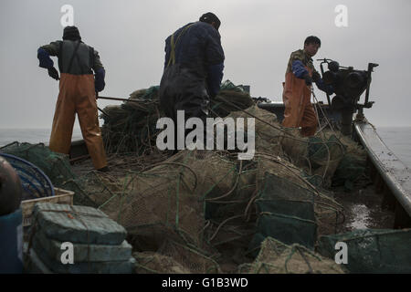 Xingcheng, province de Liaoning, Chine. 9 mai, 2016. Comme les ressources halieutiques côtières de la Chine sont de plus en plus décimées au cours des deux dernières décennies, causé par la pollution et la surpêche, l'augmentation des coûts de la pêche ont changé la vie des pêcheurs chinois évidemment. De nombreux pêcheurs ont choisi de vendre leurs bateaux et complètement renoncer à la vie de la pêche. La mer de Bohai est la source des ressources halieutiques marines dans le Nord de la Chine à l'avant, mais maintenant, la mer est devenue presque vide et de nombreuses espèces ont disparu. Wang Zhiqiang, a près de 40 ans, pêcheur qui vit à Xingcheng city, à Liaoning provinc Banque D'Images