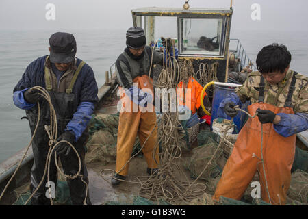 Xingcheng, province de Liaoning, Chine. 9 mai, 2016. Comme les ressources halieutiques côtières de la Chine sont de plus en plus décimées au cours des deux dernières décennies, causé par la pollution et la surpêche, l'augmentation des coûts de la pêche ont changé la vie des pêcheurs chinois évidemment. De nombreux pêcheurs ont choisi de vendre leurs bateaux et complètement renoncer à la vie de la pêche. La mer de Bohai est la source des ressources halieutiques marines dans le Nord de la Chine à l'avant, mais maintenant, la mer est devenue presque vide et de nombreuses espèces ont disparu. Wang Zhiqiang, a près de 40 ans, pêcheur qui vit à Xingcheng city, à Liaoning provinc Banque D'Images